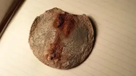 20131022_214524.webp