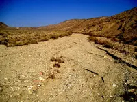 washout 004.webp