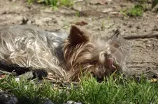 DSCF9413.webp