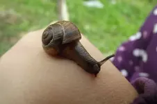 DSCF9388.webp