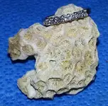 20131012_232807.webp