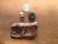 11-8-13_finds.webp