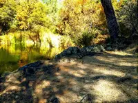 pond_Bedrock.webp