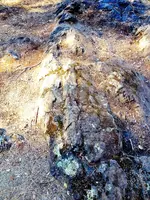 pond_Bedrock2.webp