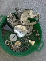 2013-10-12 13.10.06.webp