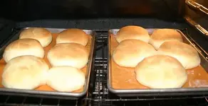 buns1.webp
