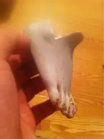 image-1033427947.webp