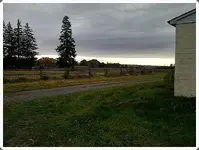 Looking East.webp
