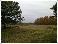 Looking West.webp