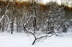 Untitled-0.webp