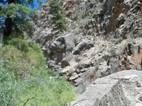 109_1934.webp