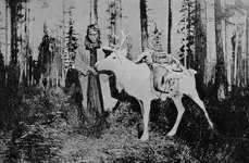 womanreindeer.webp