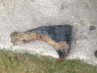 beach find 14.webp