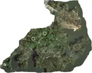 Park%201dowsed.webp