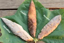 HARAHEY, CADDO, NEOSHO (1280x870).webp