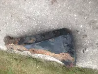 beach find 16.webp