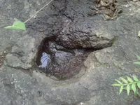 2013-09-17-535.webp