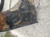 beach find 17.webp beach find 17.webp