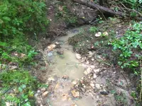 image-160535297.webp