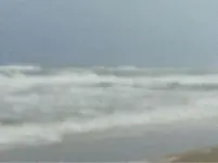 image-505258593.webp