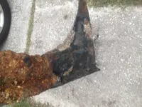 beach find 19.webp beach find 19.webp