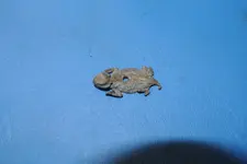 DSC_1108.webp