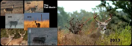 Tall Buck collage 2013 (1280x447).webp Tall Buck collage 2013 (1280x447).webp