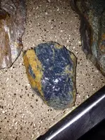 image-3391470151.webp