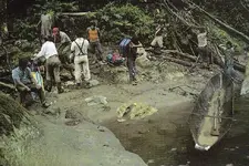 la-cueva-de-los-tayos_page_04 p.webp