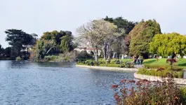DSC_2212-crop.webp