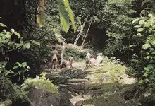 la-cueva-de-los-tayos_page_05 a.webp