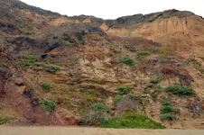 DSC_2257hillsidesmsz.webp