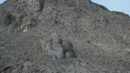 100_5768.webp