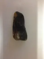 image-4237219409.webp