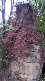 ForumRunner_20131023_090754.webp