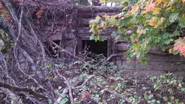 ForumRunner_20131023_090814.webp