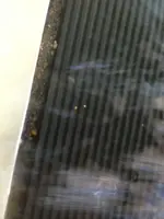 image-585345109.webp
