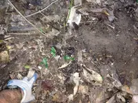 image-733439368.webp