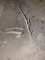image-3769992412.webp