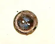 DSCF0007.webp