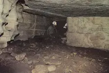 la-cueva-de-los-tayos_page_09aa.webp