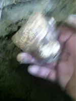image-1375586643.webp
