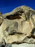 bird in rock 1.webp