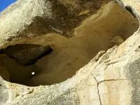 bird in rock 2.webp