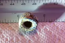 photo 3.webp