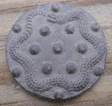rattlesnake.webp rattlesnake.webp