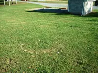 DSCF0016.webp