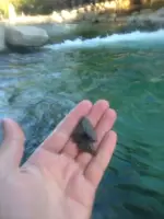 image-3289855195.webp
