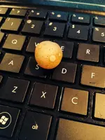 photo 1.webp