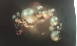 555132_462688207136872_428533381_n.webp